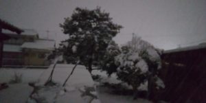 夕方の雪