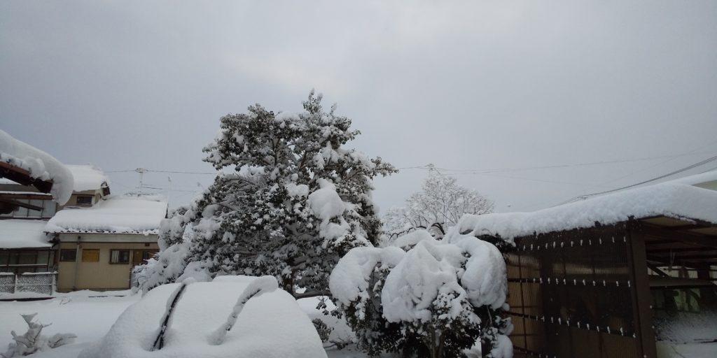 1月6日雪